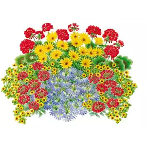 BUNTE PFLANZIDEEN