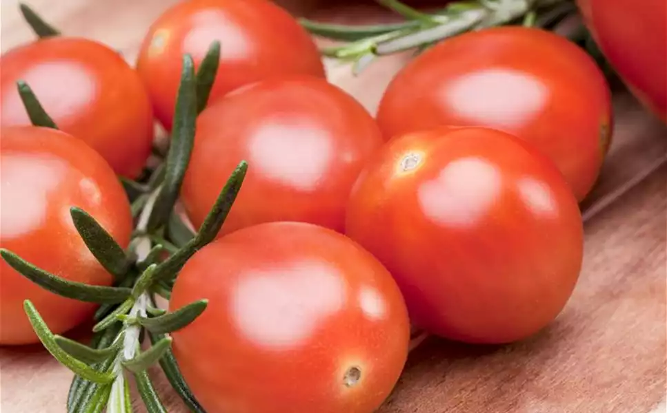 Nutzgarten - Leckereien aus dem Garten!