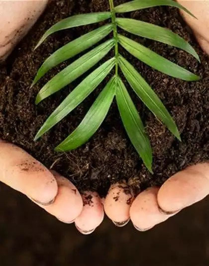 11.04. Bodentest Cuxin - Thomas Rülcker