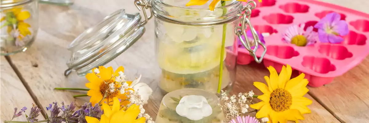 WIE GEHT... BLUMEN-SEIFE?