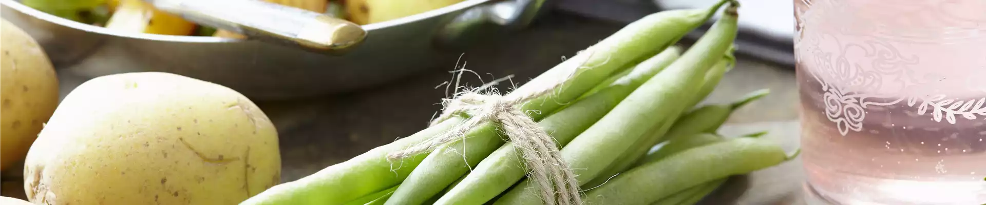 Phaseolus vulgaris