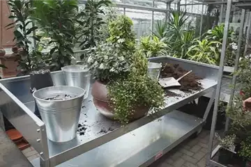 Blumenkübel - Dauerhafte Bepflanzung