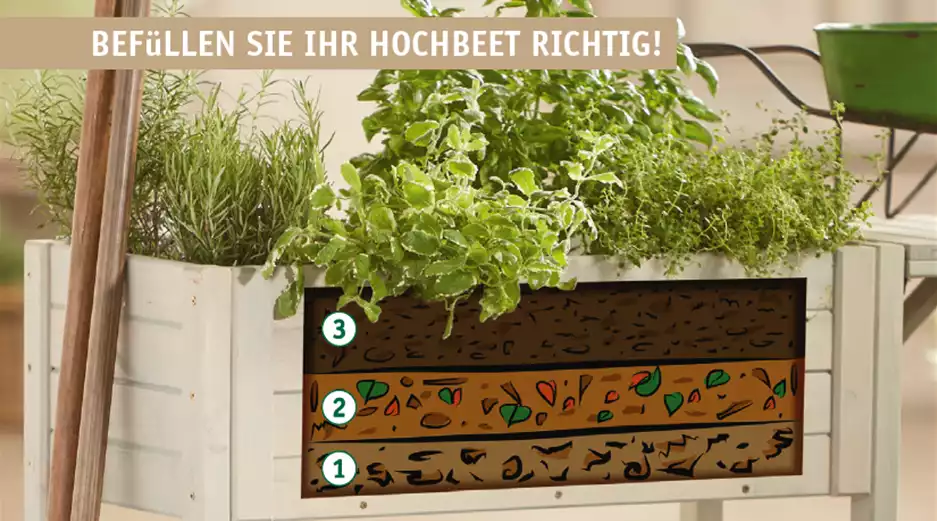 Hochbeet.PNG