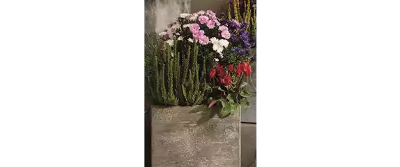 EIN KUNTERBUNTER HERBST!