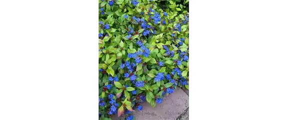 EIN KUNTERBUNTER HERBST!