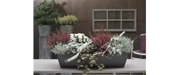 EIN KUNTERBUNTER HERBST!