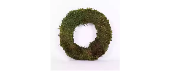 EIN KUNTERBUNTER HERBST!