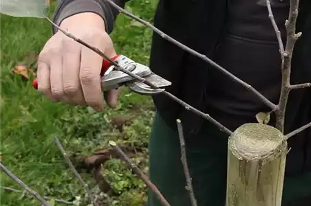 OKTOBER - JETZT GIBT ES NOCH MAL VIEL ZU TUN!