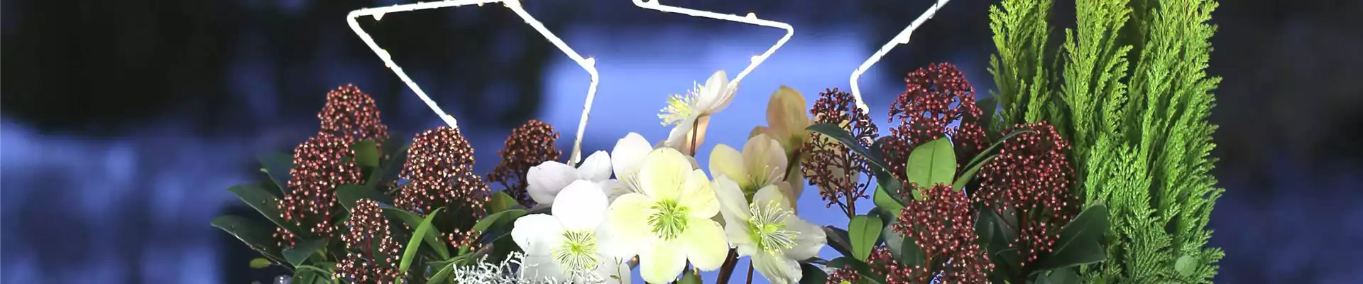 ES WEIHNACHTET AUF BALKON & TERRASSE!