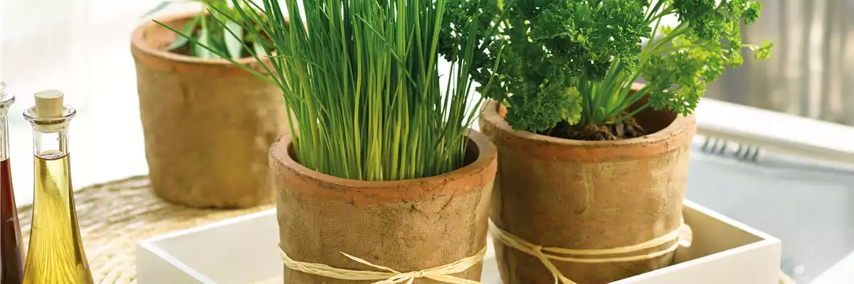 MIT VIEL GESCHMACK UND RAFFINESSE! 