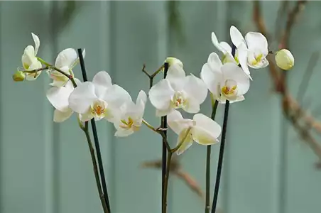 MODERNE WEIHNACHTEN! 