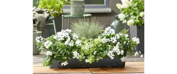 IM TREND: BALKON!
