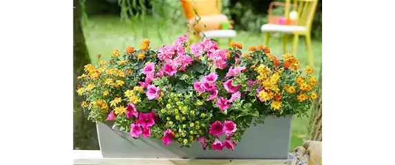 IM TREND: BALKON!