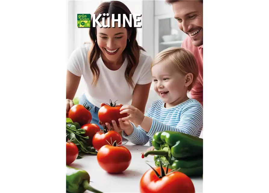 30.04.-02.05. GEMÜSEVERKOSTUNG