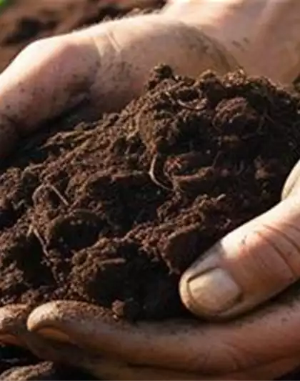 11.04. Cuxin Bodentest 2026