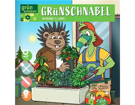 Grünschnabel Ausgabe 3 25