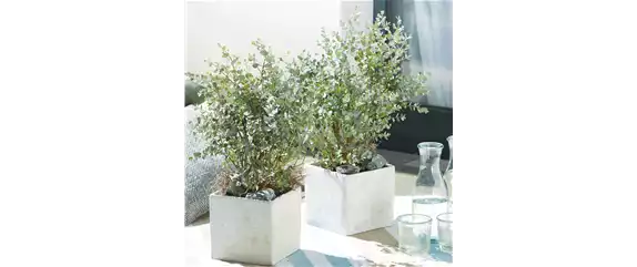 OASE DER ENTSPANNUNG!