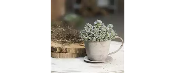 PFLEGELEICHT & ZEITLOS SCHöN! 