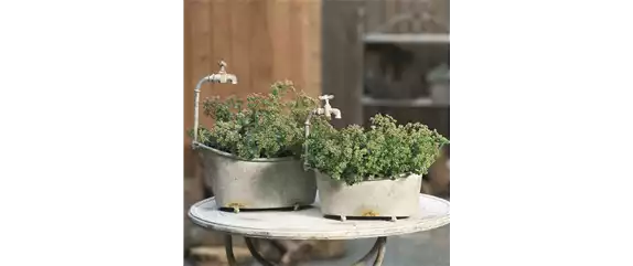 PFLEGELEICHT & ZEITLOS SCHöN! 