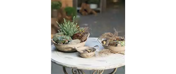 PFLEGELEICHT & ZEITLOS SCHöN! 