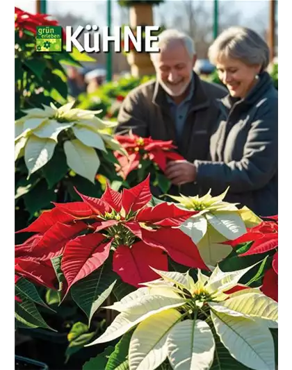 22.-23. November Sternenzauber