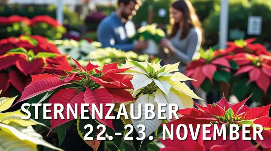 Sternenzauber-Webseite-Kalender-quer.jpg