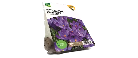 JETZT PFLANZEN, SPäTER STAUNEN!