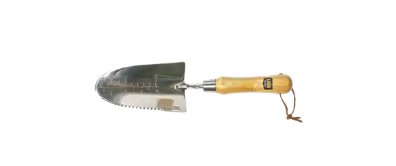 JETZT PFLANZEN, SPäTER STAUNEN!