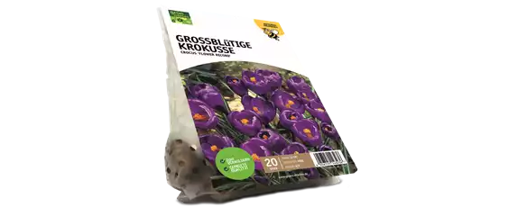 JETZT PFLANZEN, SPäTER STAUNEN!