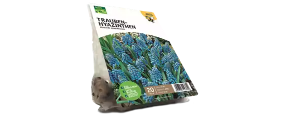 JETZT PFLANZEN, SPäTER STAUNEN!