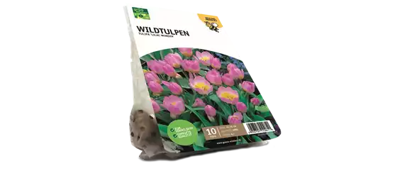 JETZT PFLANZEN, SPäTER STAUNEN!