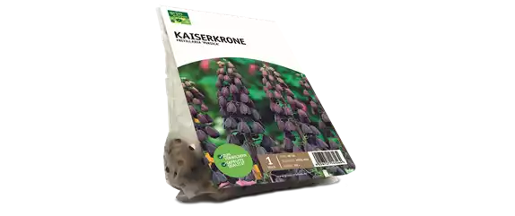 JETZT PFLANZEN, SPäTER STAUNEN!