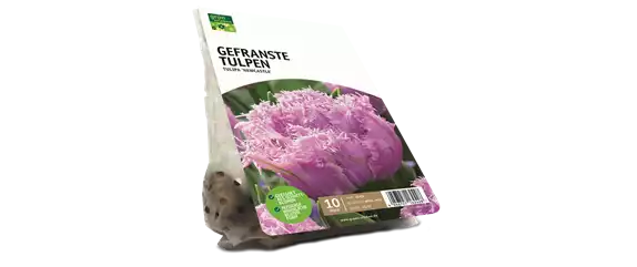 JETZT PFLANZEN, SPäTER STAUNEN!