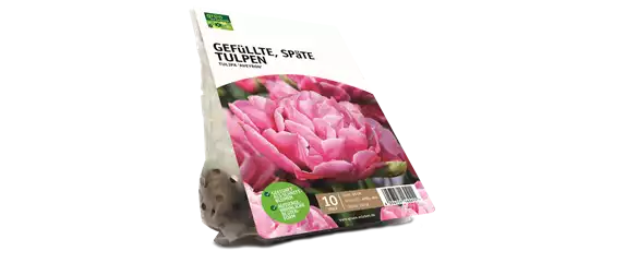 JETZT PFLANZEN, SPäTER STAUNEN!