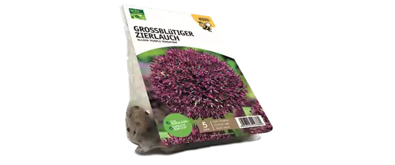 JETZT PFLANZEN, SPäTER STAUNEN!