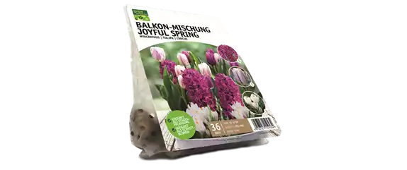 JETZT PFLANZEN, SPäTER STAUNEN!