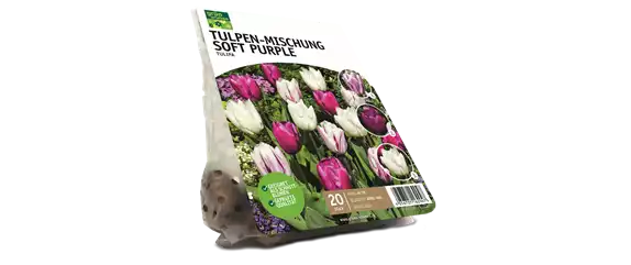 JETZT PFLANZEN, SPäTER STAUNEN!