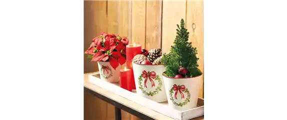 WEIHNACHTEN BEGINNT ZUHAUSE!