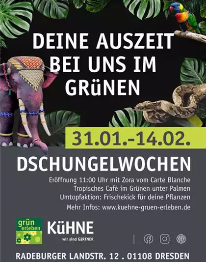 31.01.-14.02. Dschungelwochen 