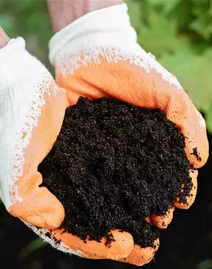 11.04. Cuxin Bodentest 2026