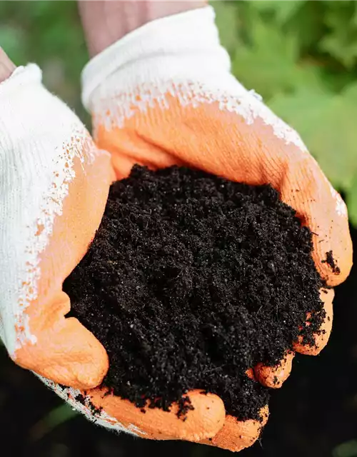 11.04. Cuxin Bodentest 2026