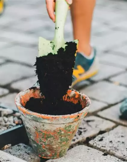 27.03. Oscorna Bodentest & Rasenberatung