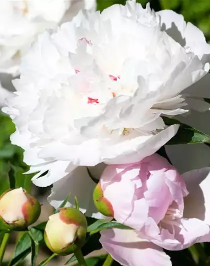 01.05. Verkaufsoffener Feiertag