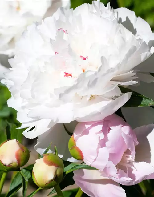 01.05. VERKAUFSOFFENER FEIERTAG