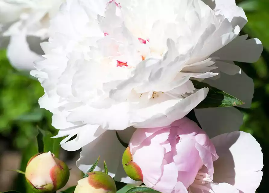 01.05. VERKAUFSOFFENER FEIERTAG