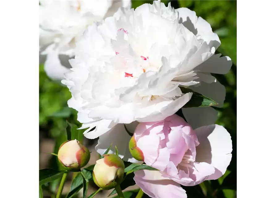 01.05. VERKAUFSOFFENER FEIERTAG