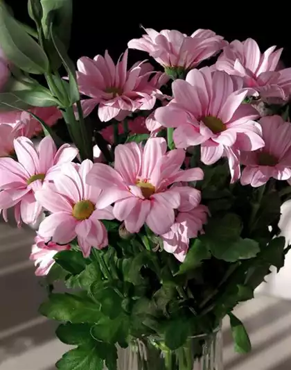 10.05. Verkaufsoffener Muttertag