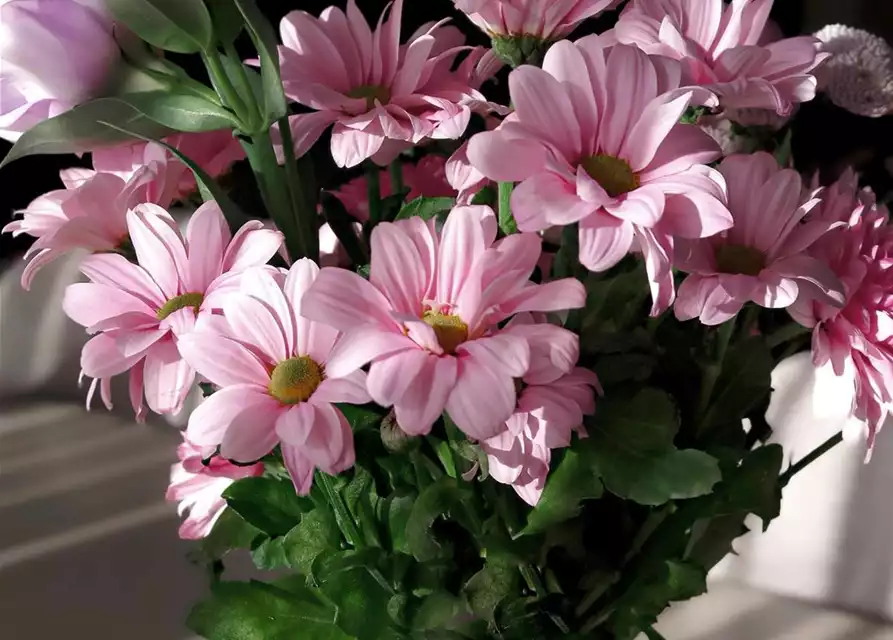 10.05. VERKAUFSOFFENER MUTTERTAG