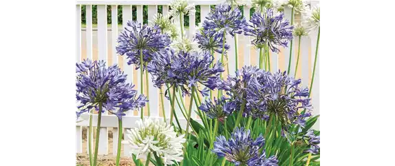 URLAUBSGEFÜHLE ZUHAUSE! 