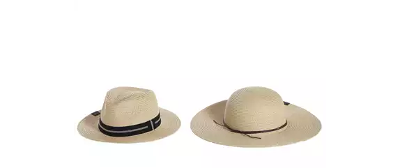 SOMMER IM STAUDENGARTEN!